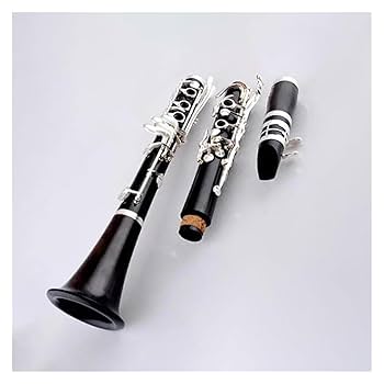 Amazon | 17 キー黒檀木製クラリネット Bb トーン